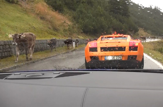 A pak že se supersportem ohromíte kdejakou krávu (video)